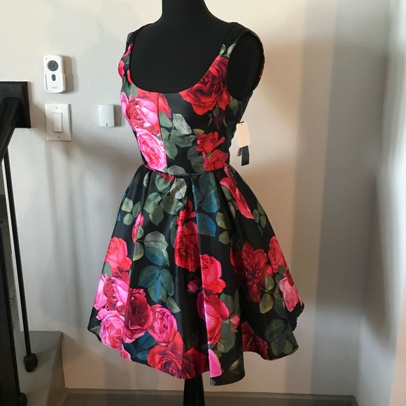 betsy and adam fit and flare dress